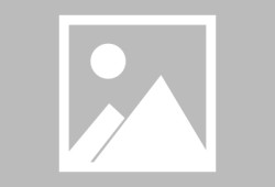 多米体育登录注册-美国费城街头行尸走肉