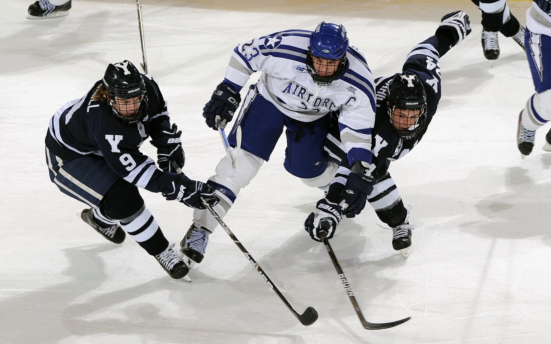 阿扎伦卡迎来五赛季高光表现，公牛球迷沸腾！
