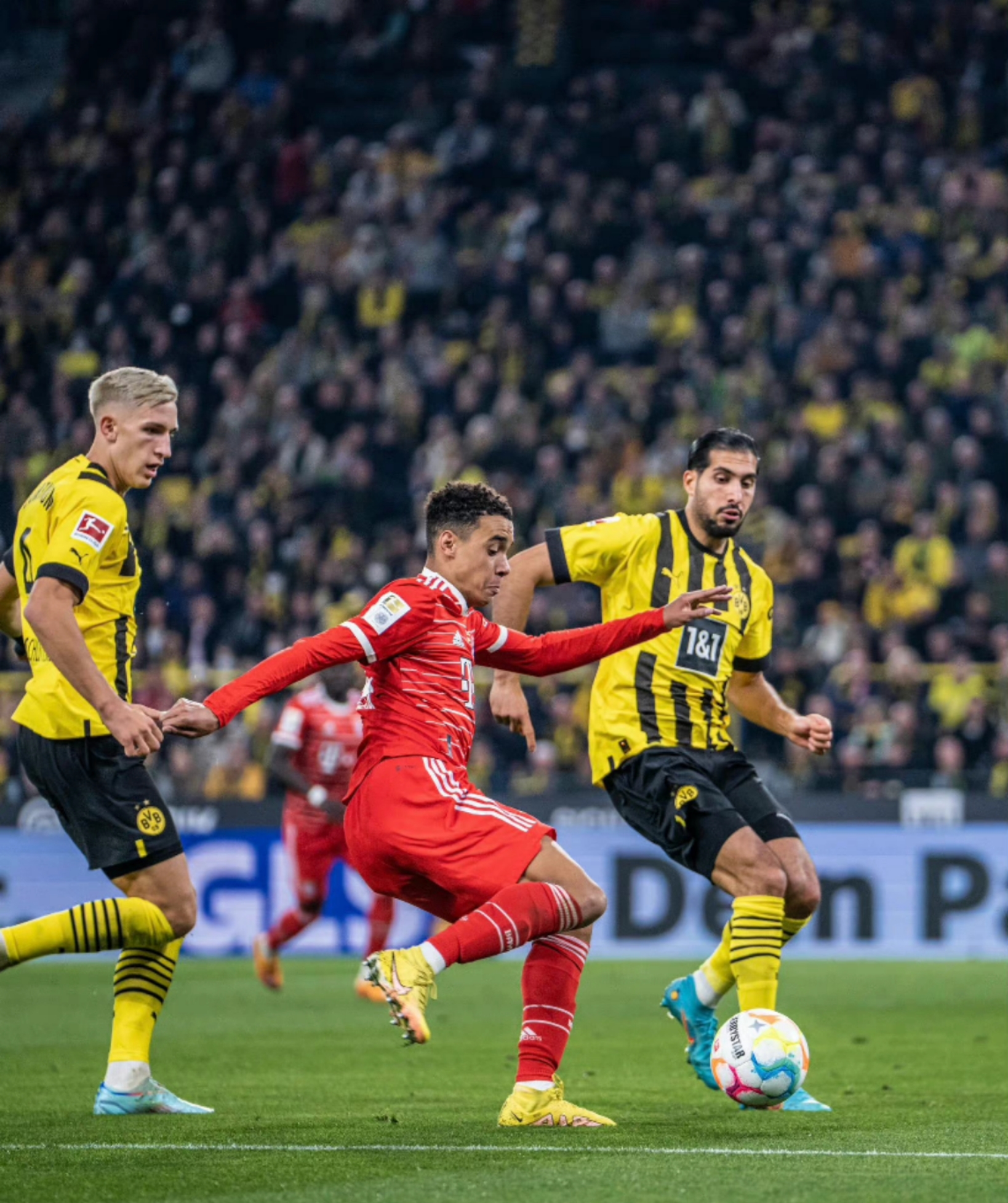 2024猛龙队球员名单